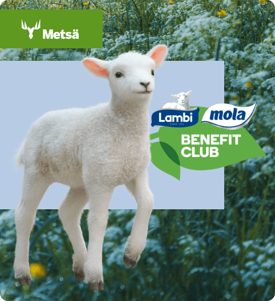 Case Study Metsa | Look Ad - Agencja trade marketingu
